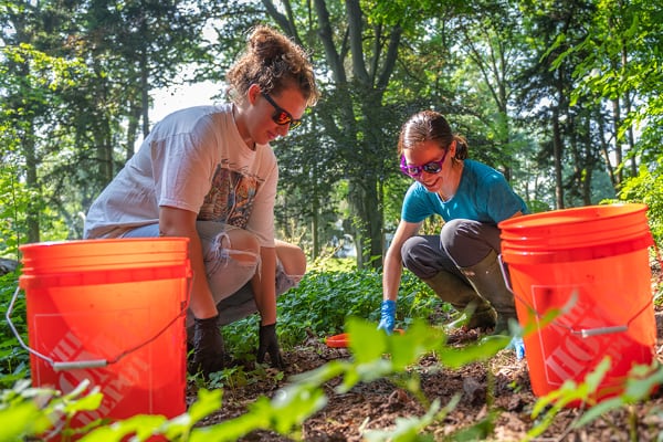Erin McCullough conducts field research