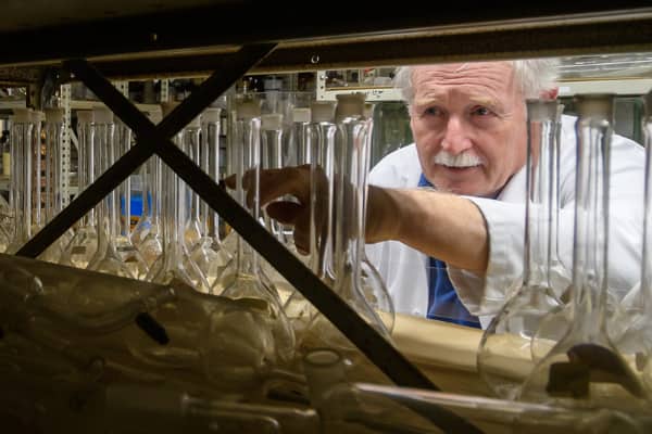 A researcher inspects lab equipment