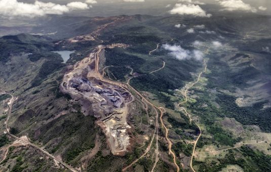 forest with extraction being done in tropical fo