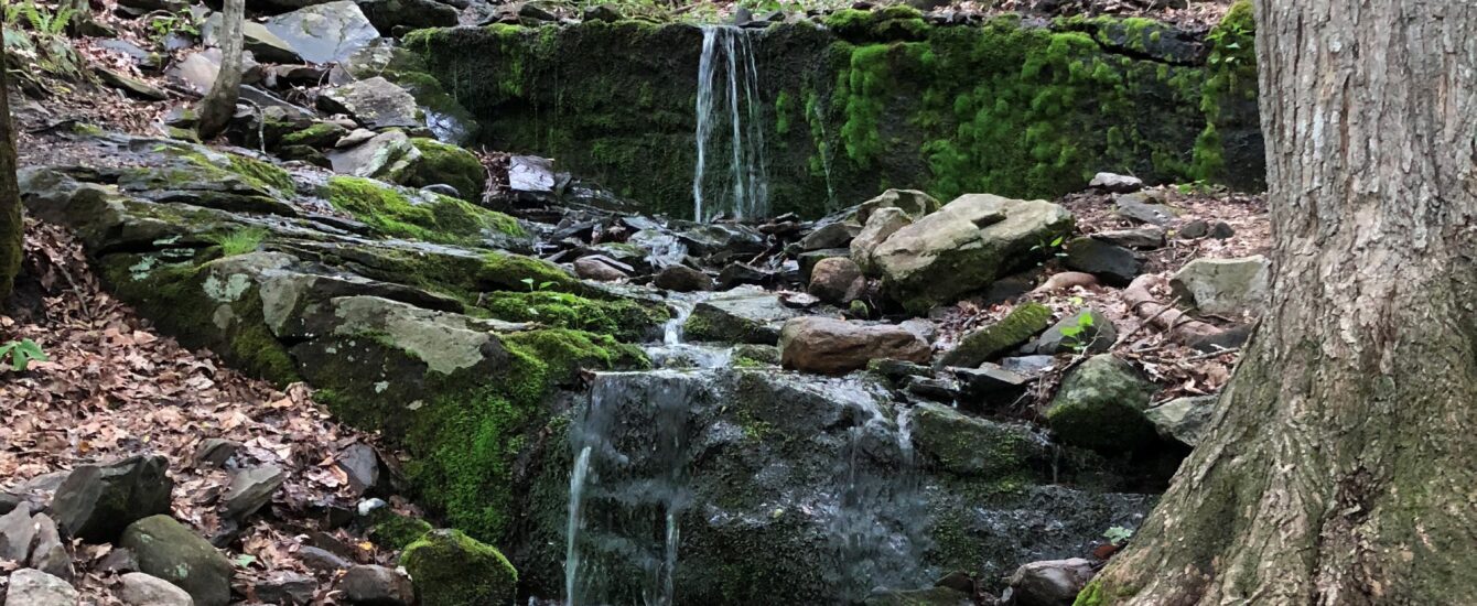 coes cascade