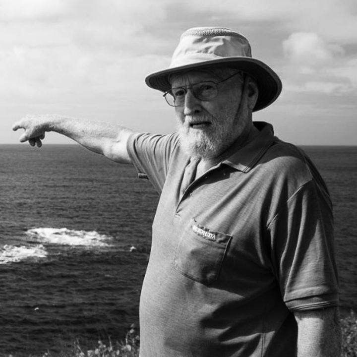 David B. Wright