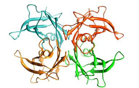 Diagram of biochemical interaction in proteins