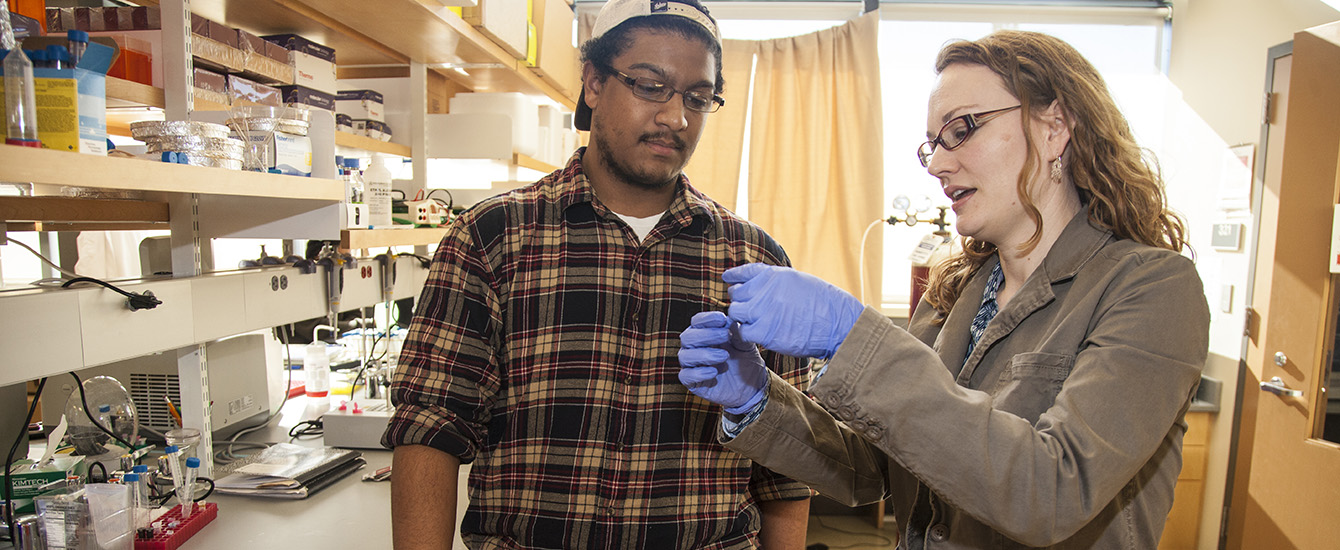 Professor showing student a slide of microscopic biological matter