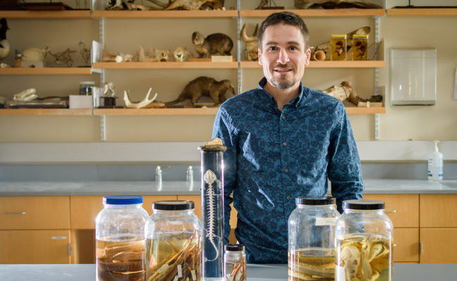 Professor Philip Bergmann in lab with reptile skeltons