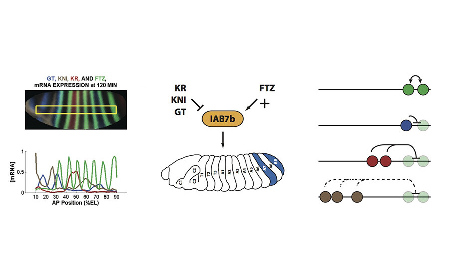 diagram drawing to include gt, kr and ftz