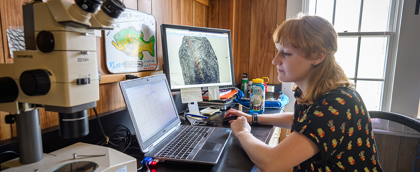 Student looking at data on laptop
