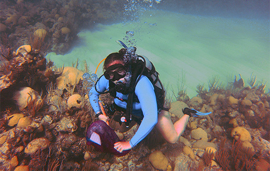 Student snorkeling