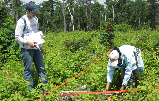 two students doing research in field