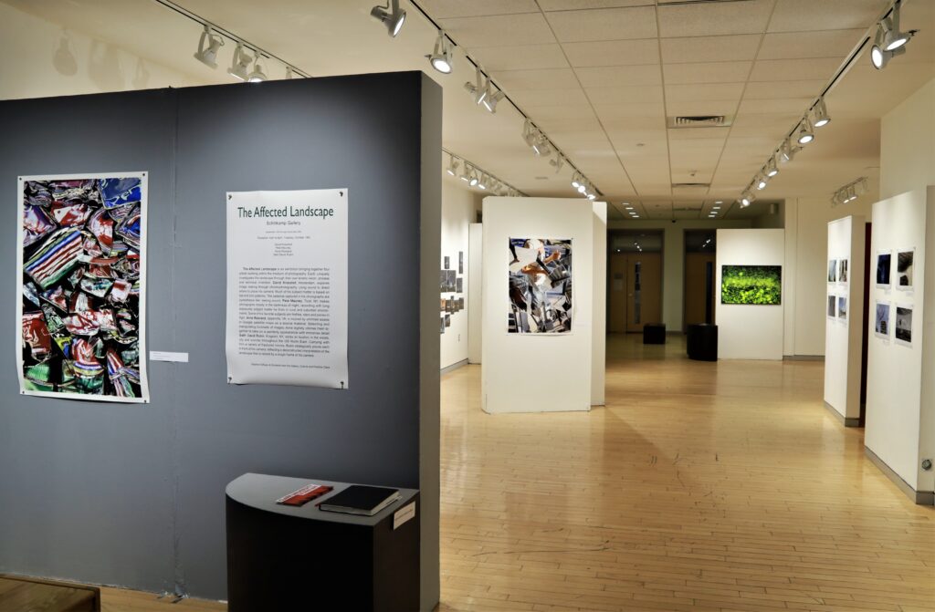 Affected Landscape gallery photo