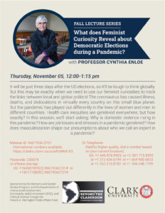 Cynthia Enloe: Feminist Curiosity and Democratic Elections