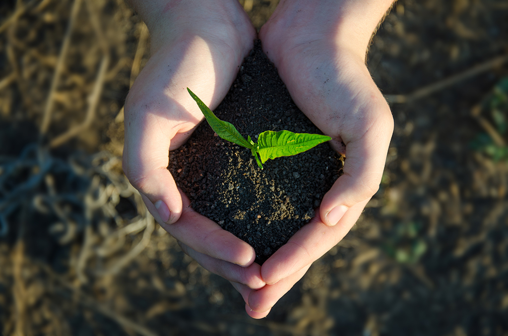 Fall 2022 Symposium on the Environmental Humanities