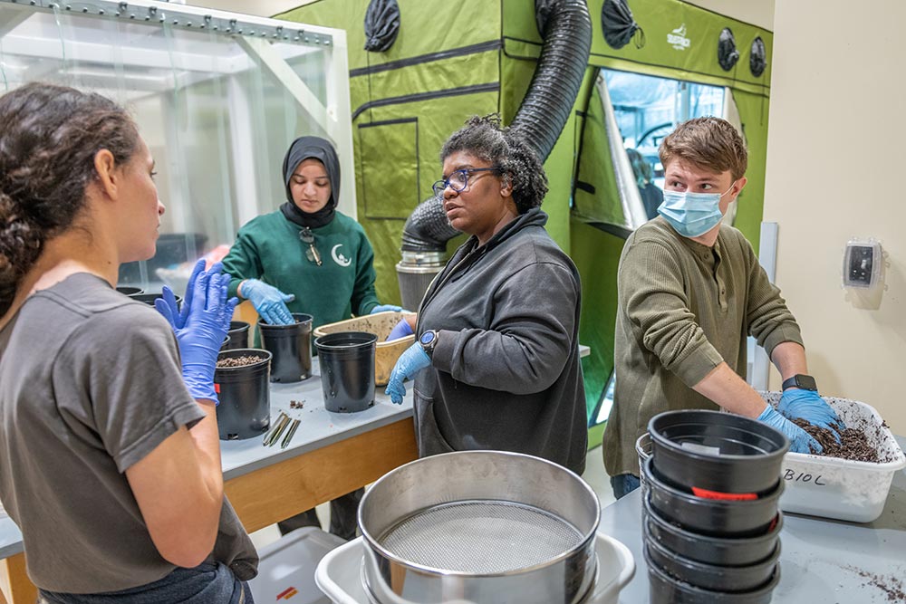 Professor Chandra Jack and her students plant a new crop of wheat at the grow house.