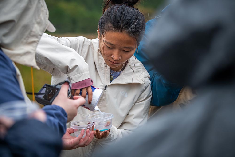 Lauren Holmes ’23, M.S.’24, an environmental science major, makes a concoction — dish soap, water, and salt — to preserve and transport ants.