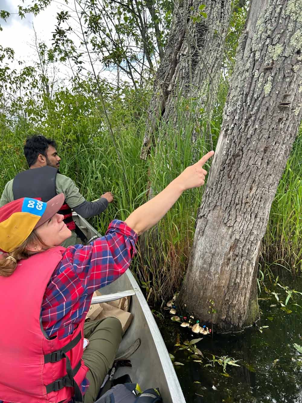 Devon Rose Leaver in a canoe pointing towards a phellinus specimen