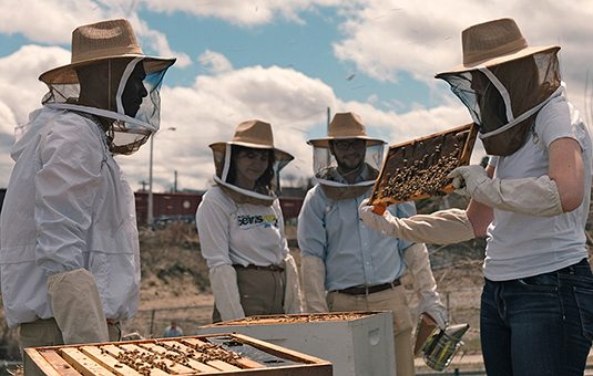graduate students in bee gear