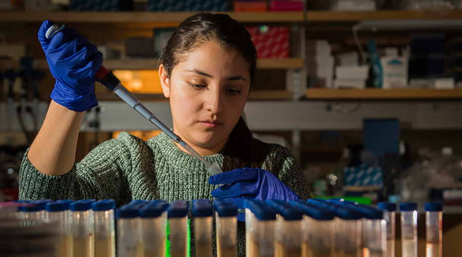 chemistry student in lab