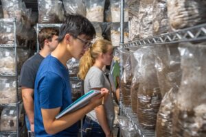 Students study fungi