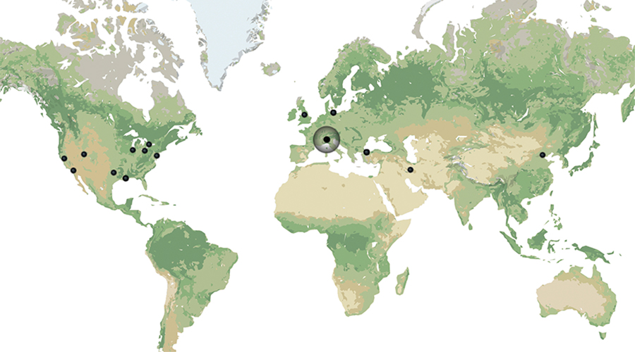 world map