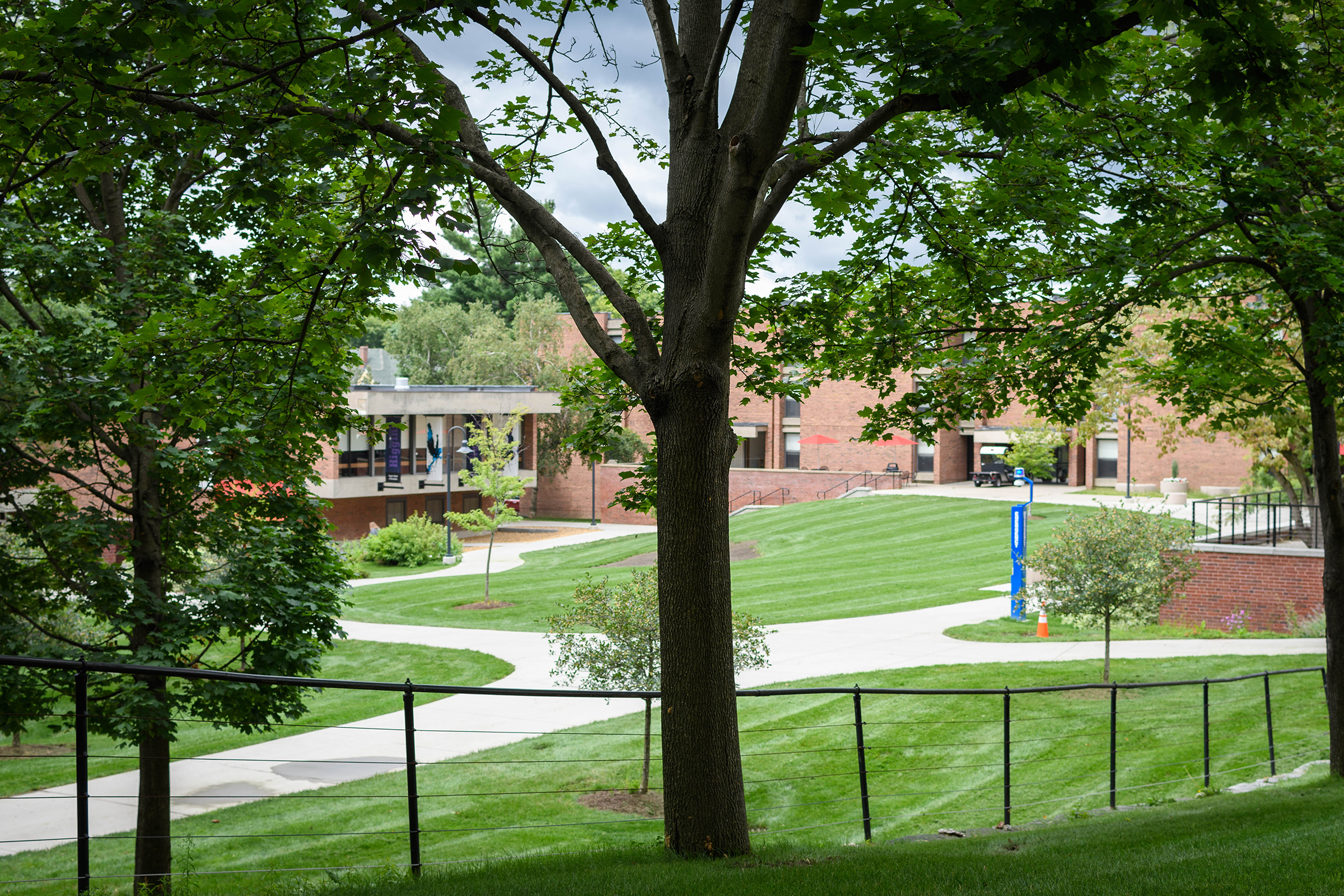 Dana Hall - outside pathways