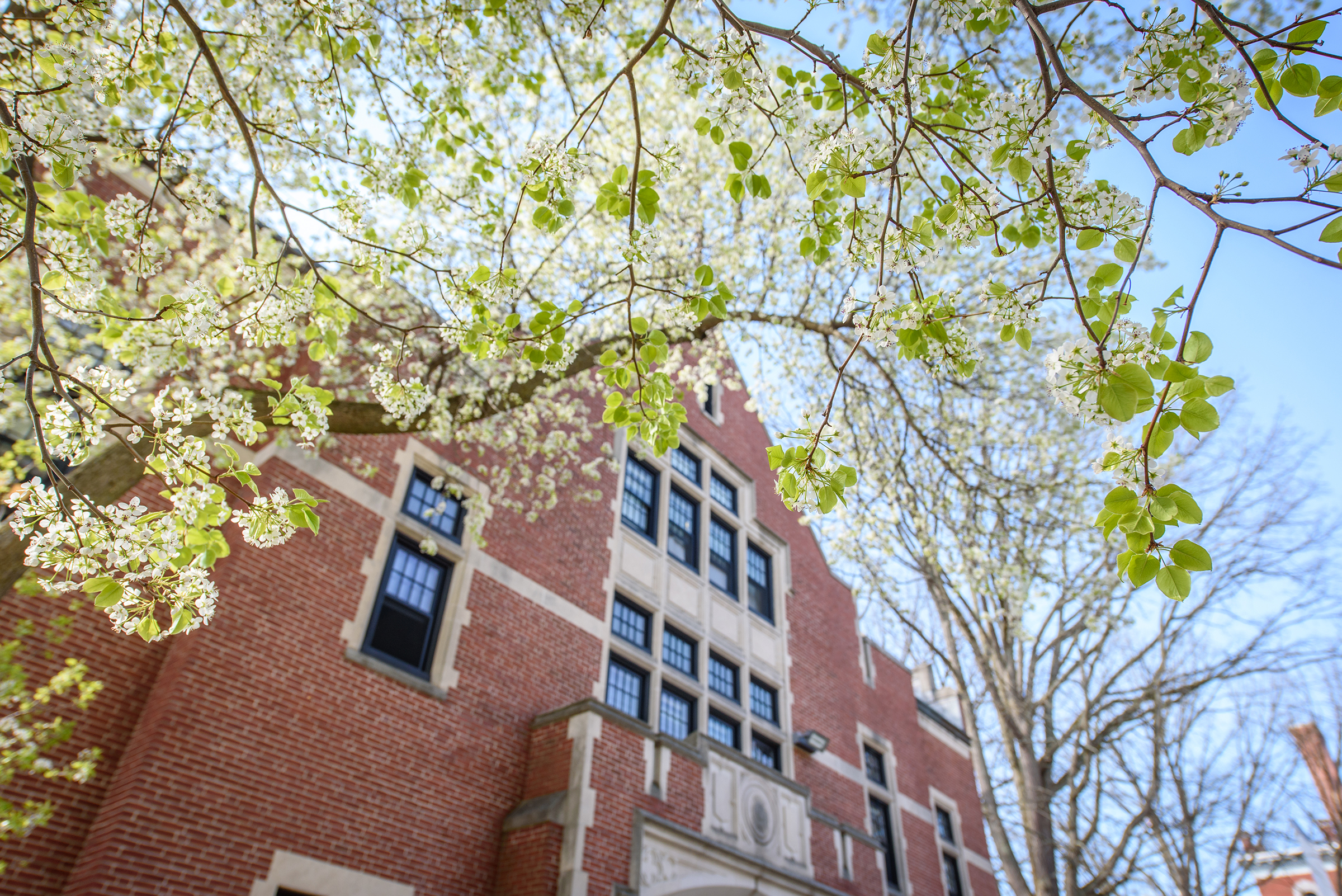  Atwood Hall spring trees