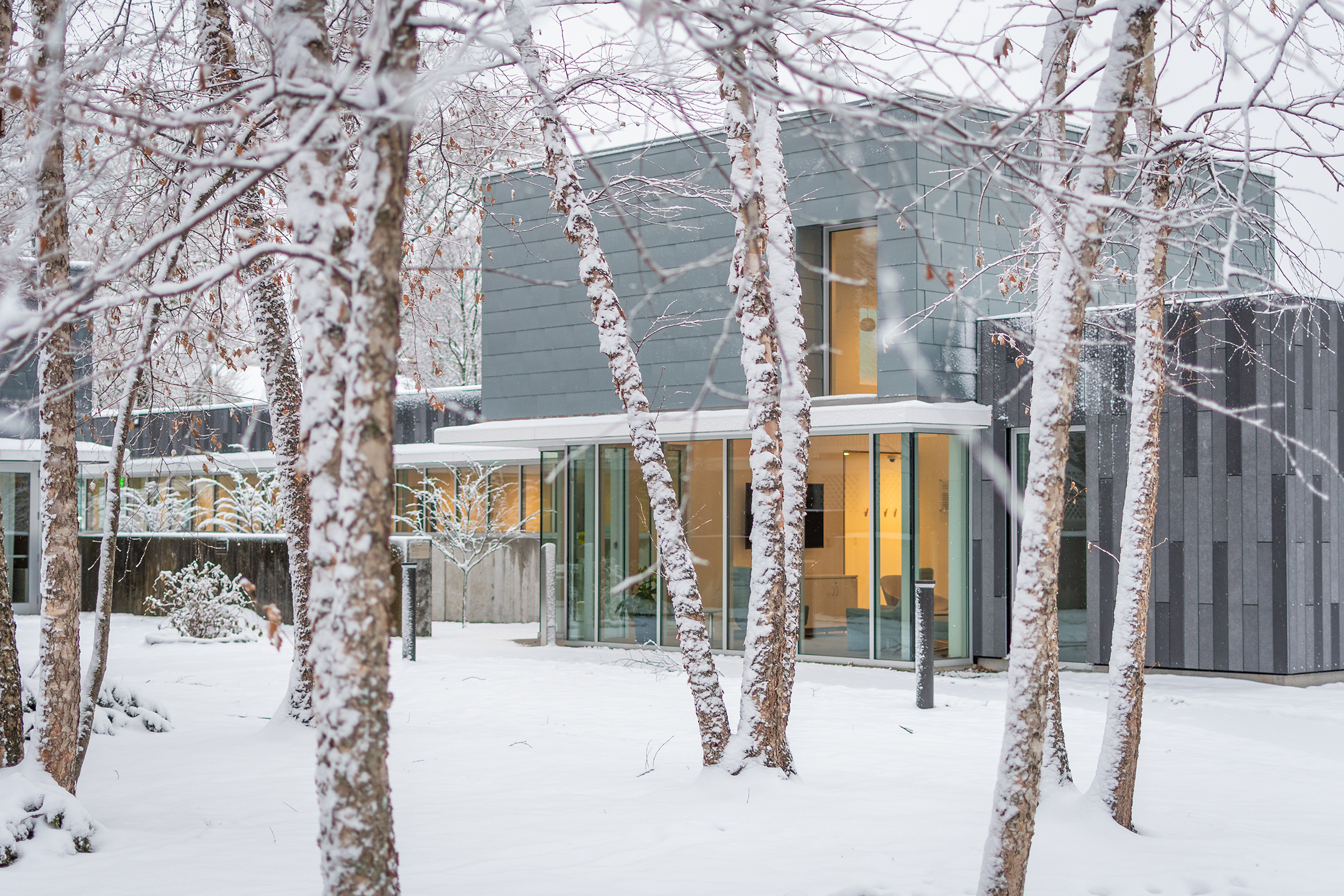 Cohen-Lasry House - garden area in white snow