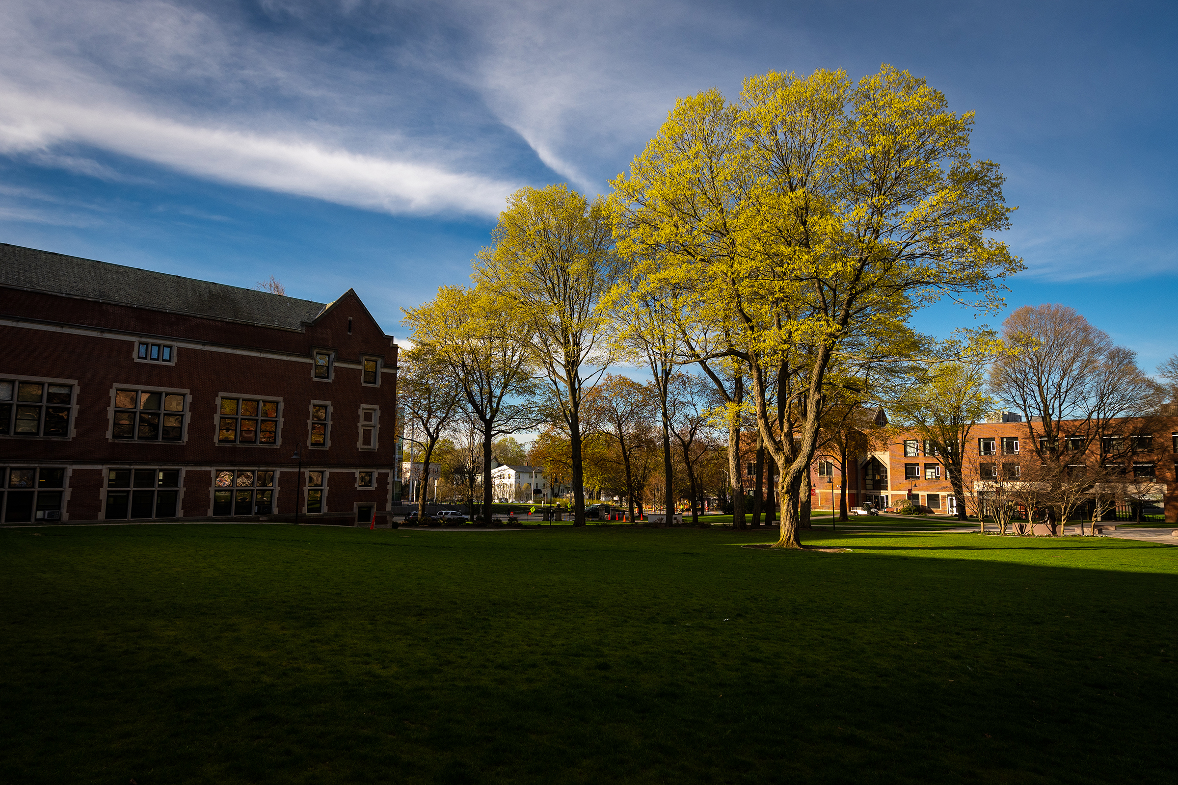 Geography Building - common greens