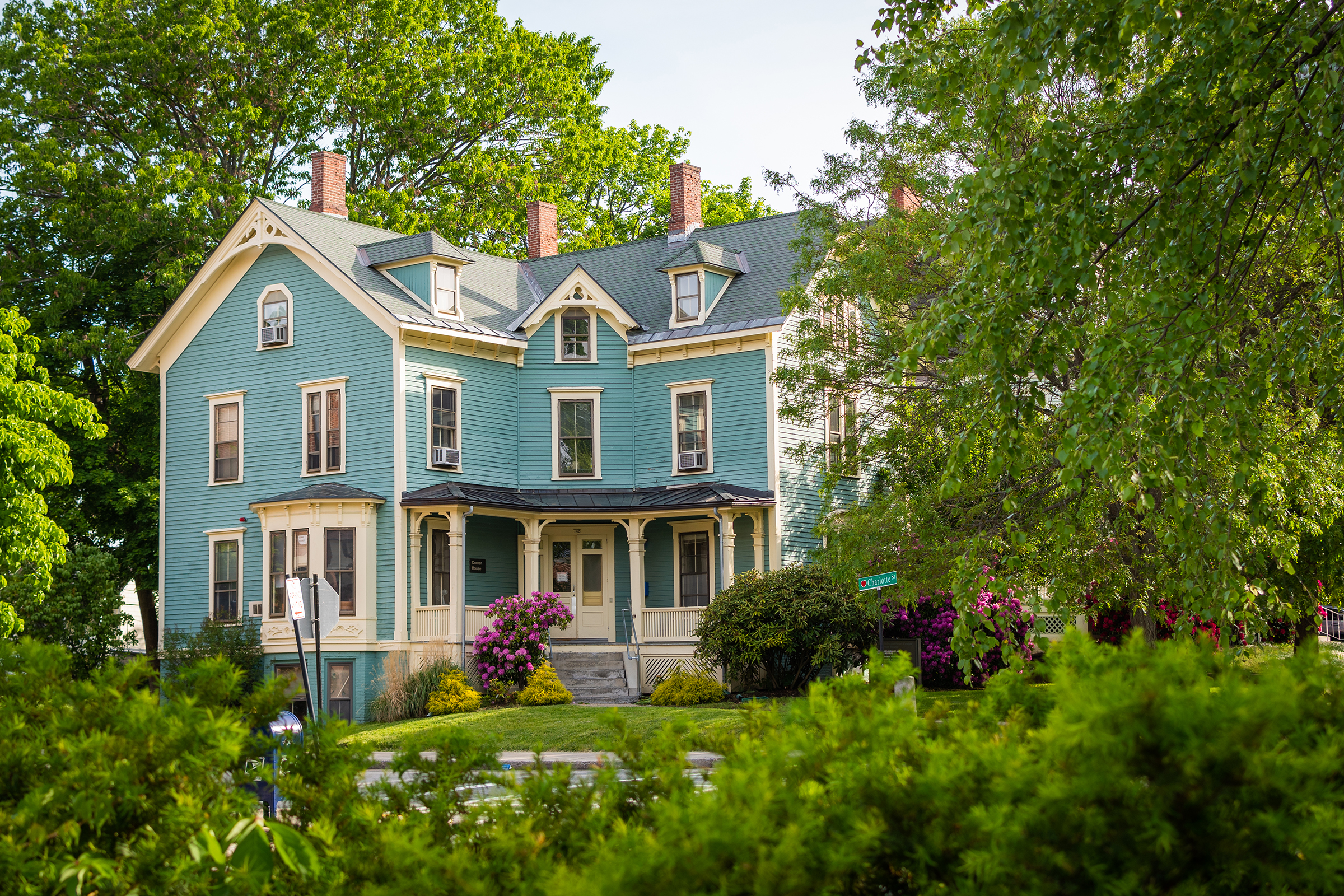 Corner House - summer landscape