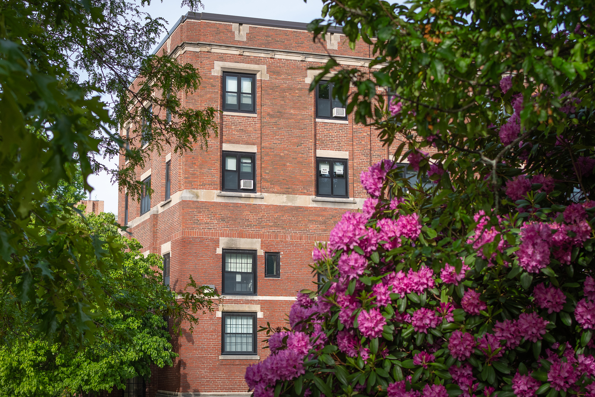 Estabrook Hall - summer shot of flowers 