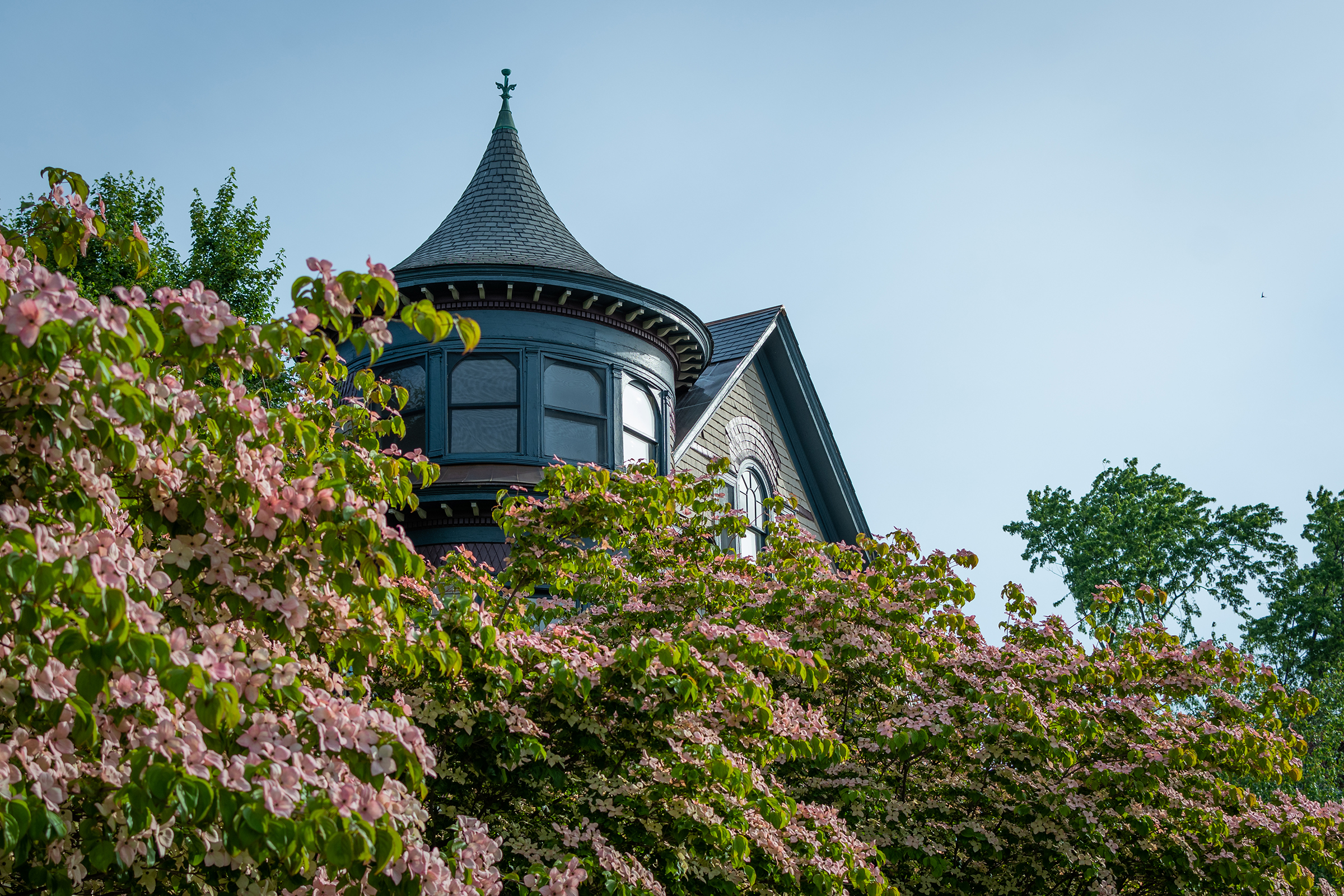Harrington House - close up of tower and architecture