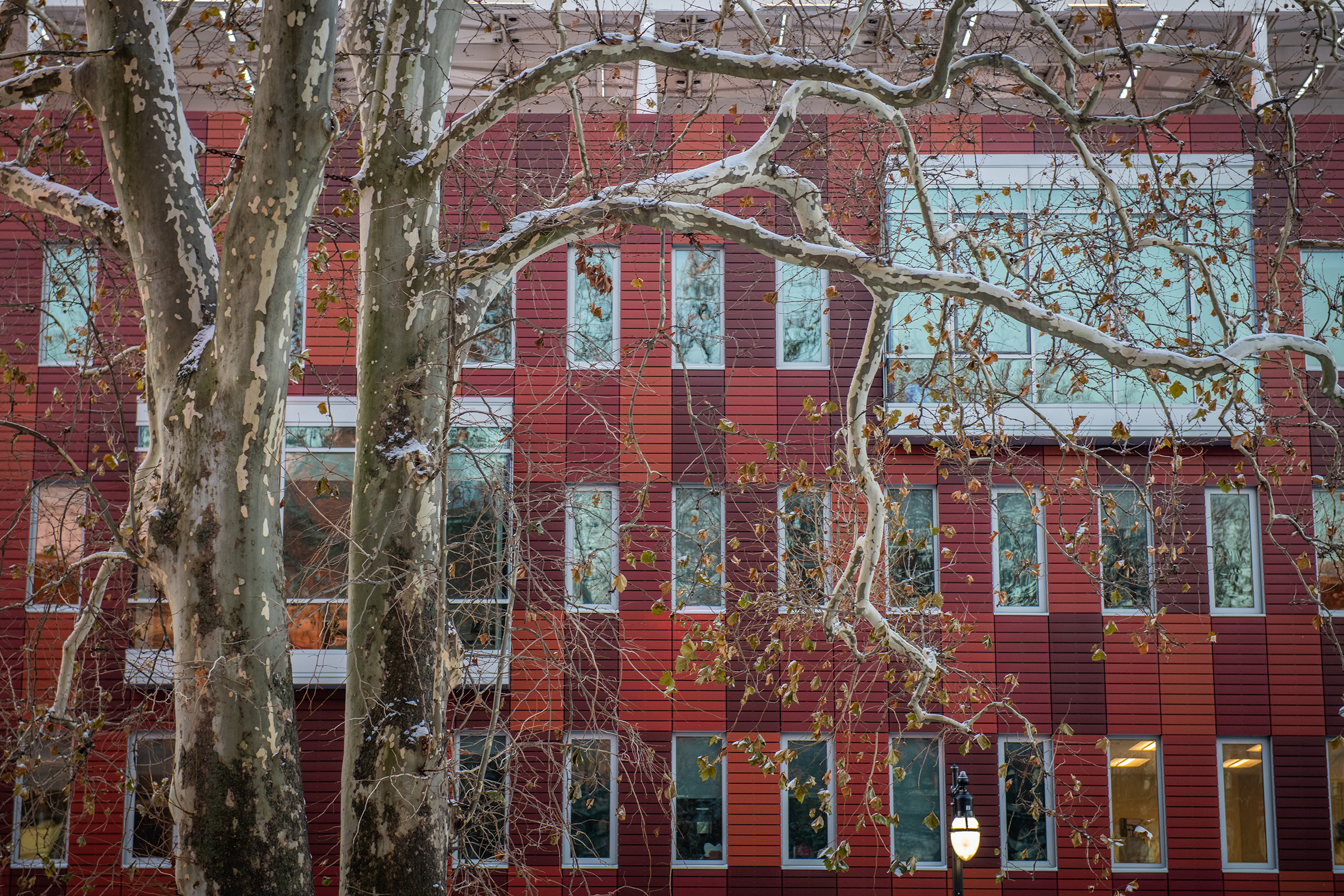 Shaich Family Alumni and Student Engagement Center (ASEC) - side of building