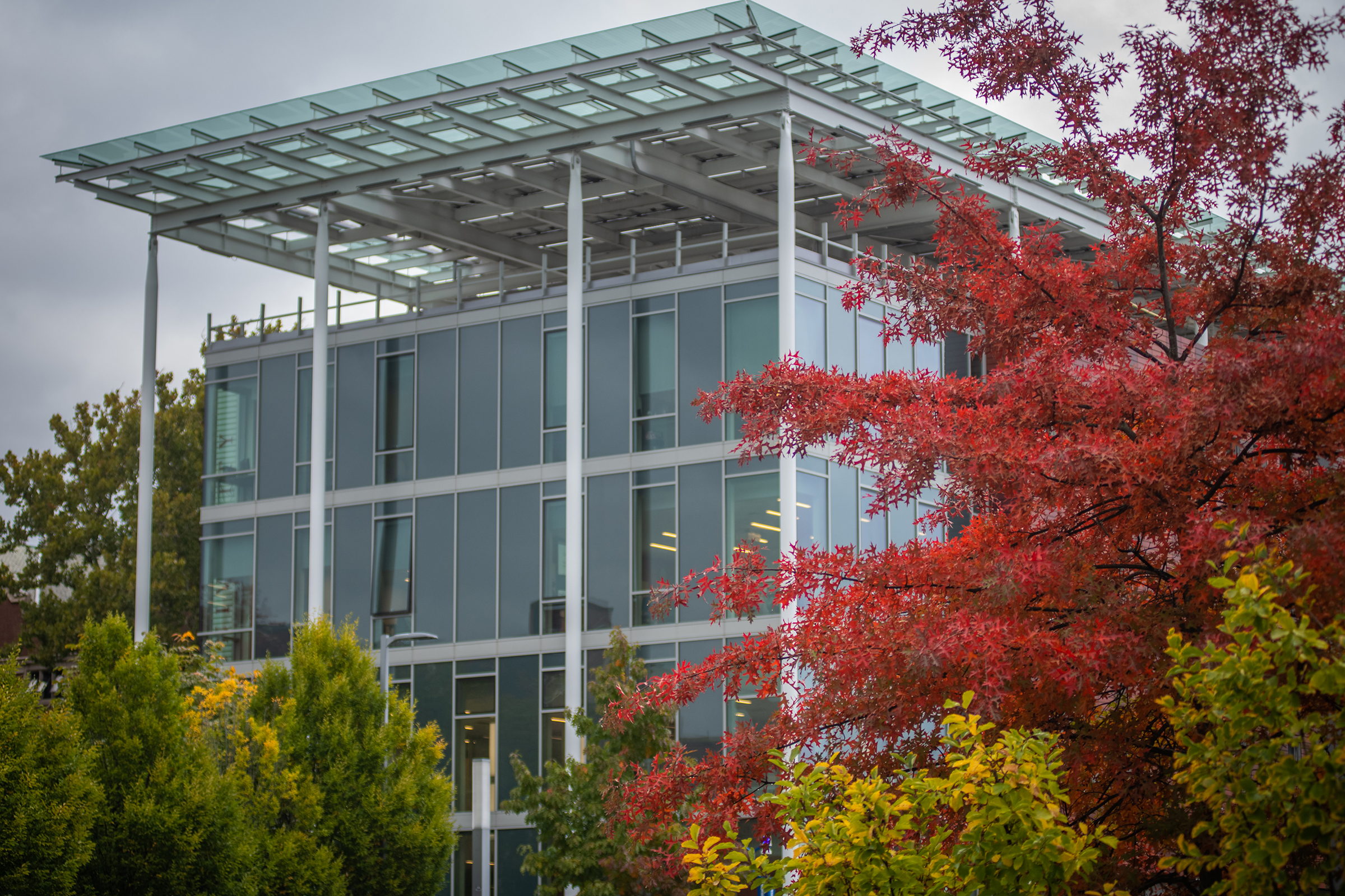 Shaich Family Alumni and Student Engagement Center (ASEC) - fall scene