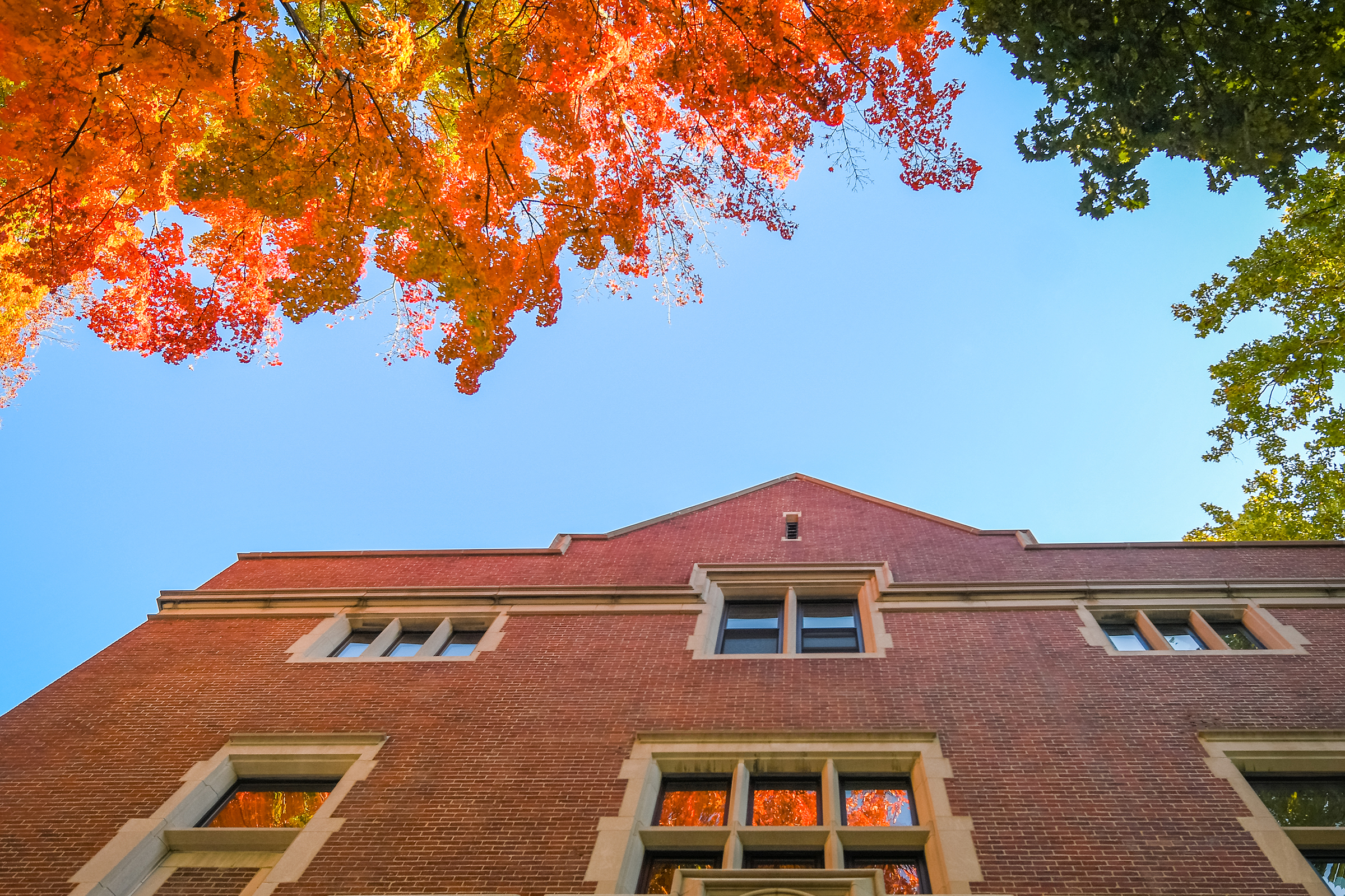 Geography Building - architecture and fall leaves