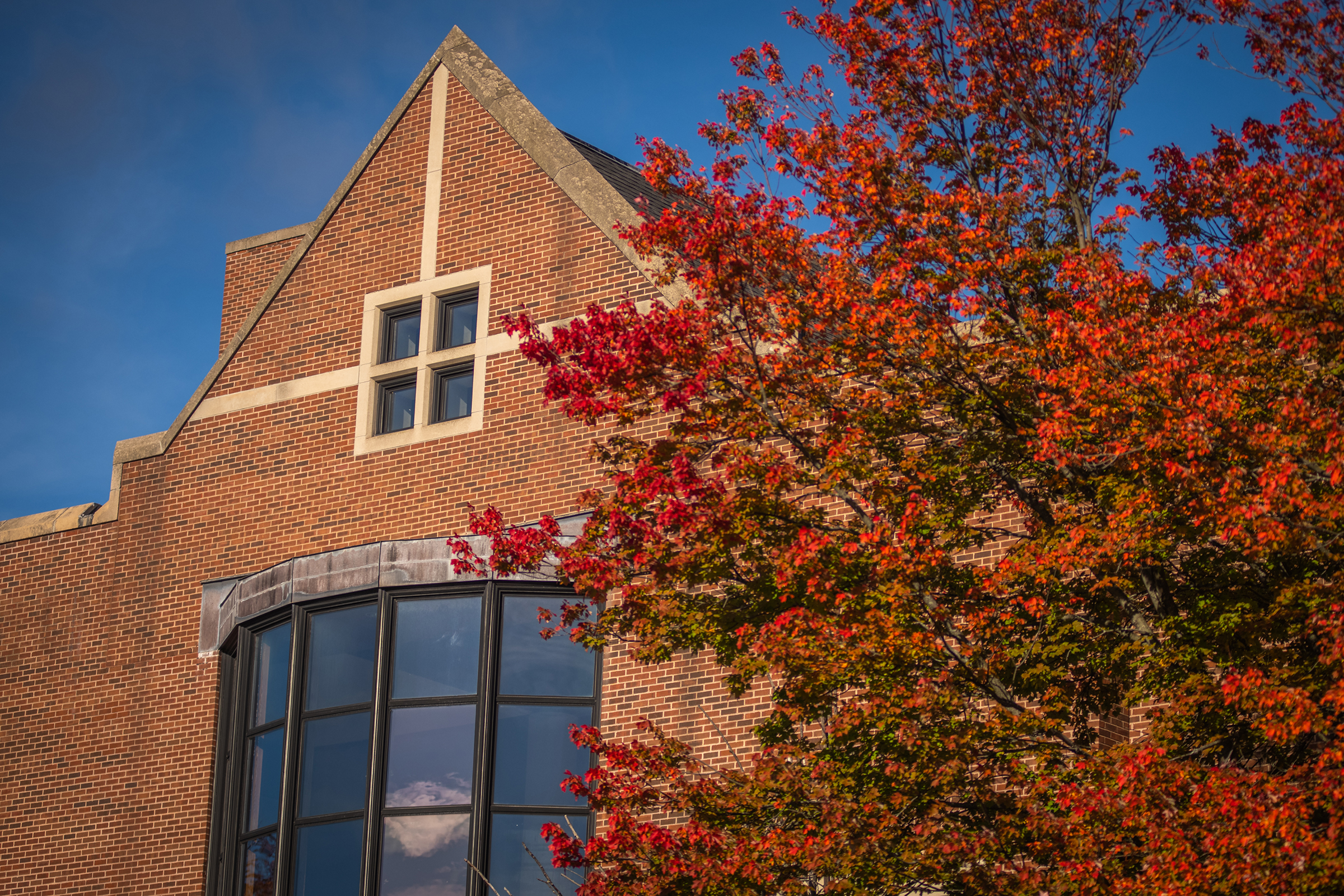 Higgins University Center - windows architecture