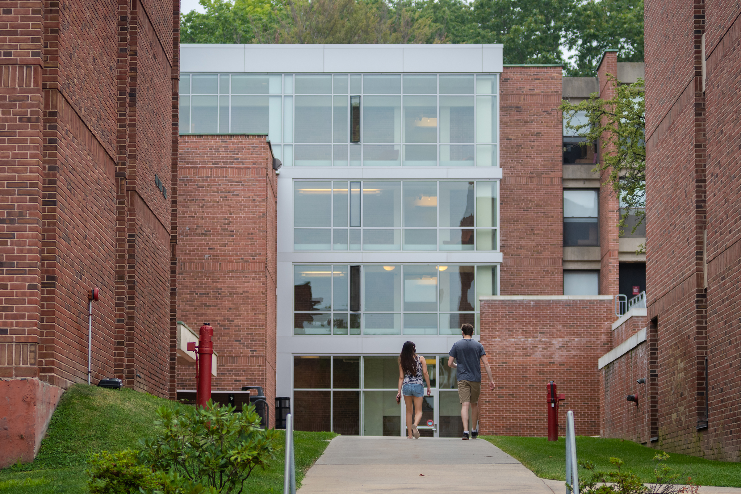 Hughes Hall - students walking up path