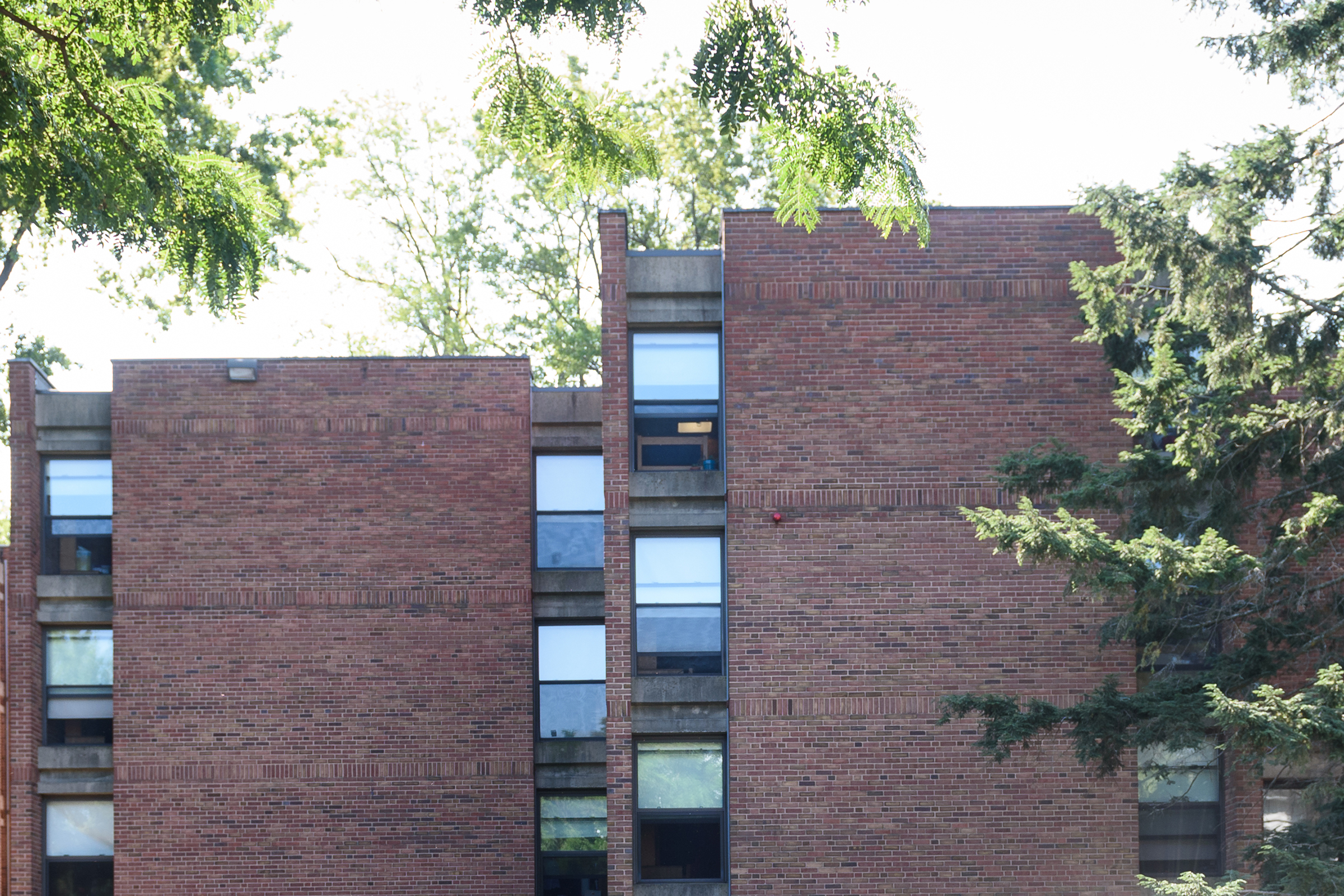 Hughes Hall - windows