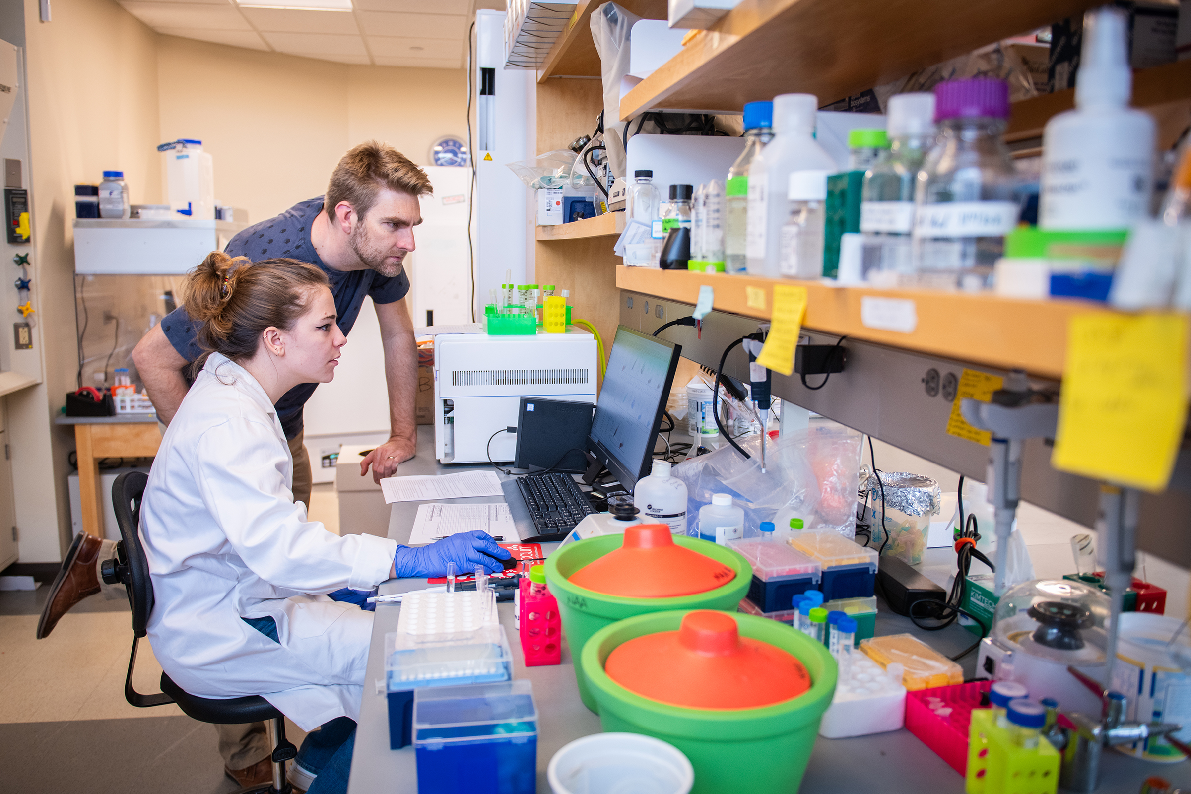 Lasry Center for BioScience - lab area