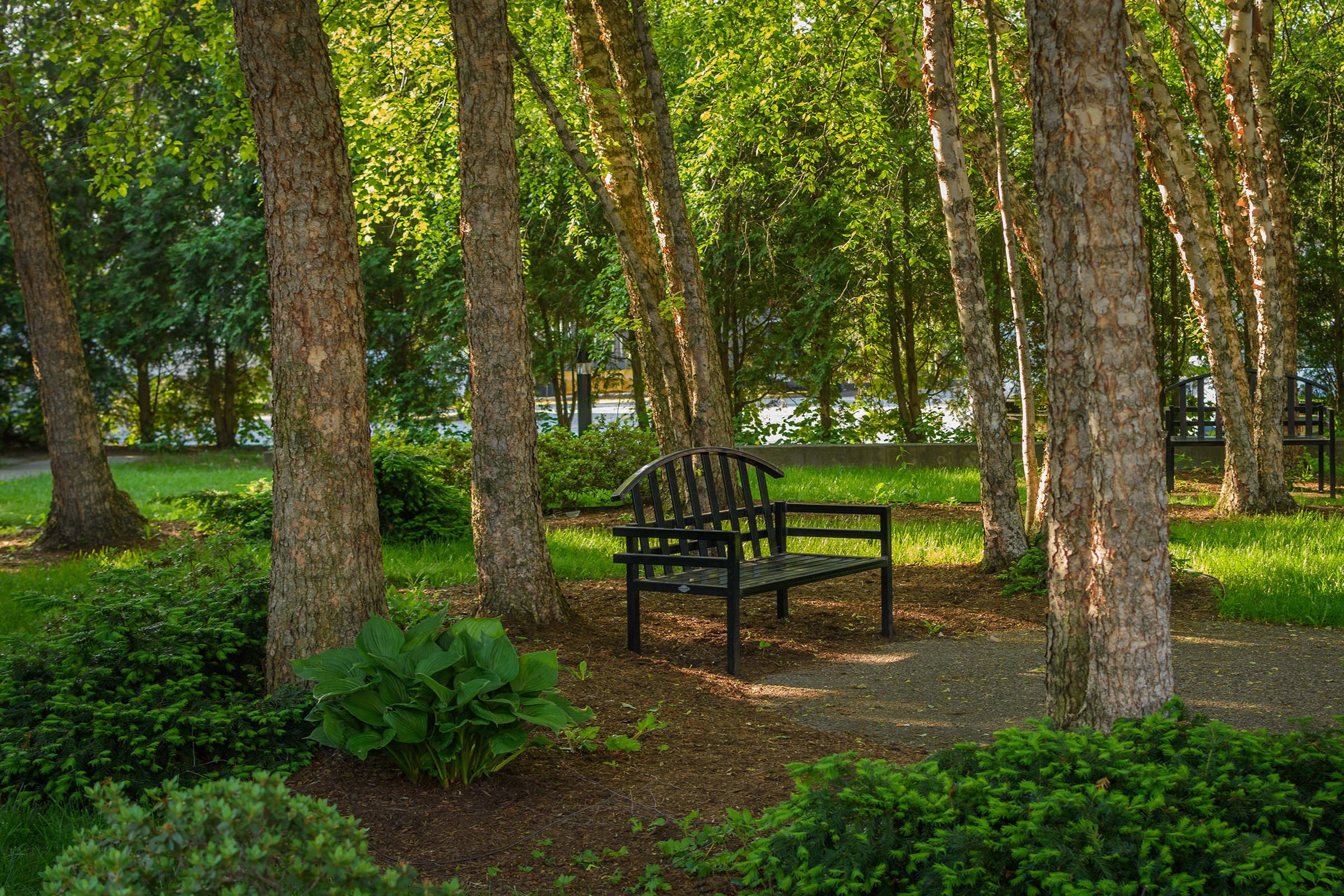 Cohen-Lasry House - bench in garden