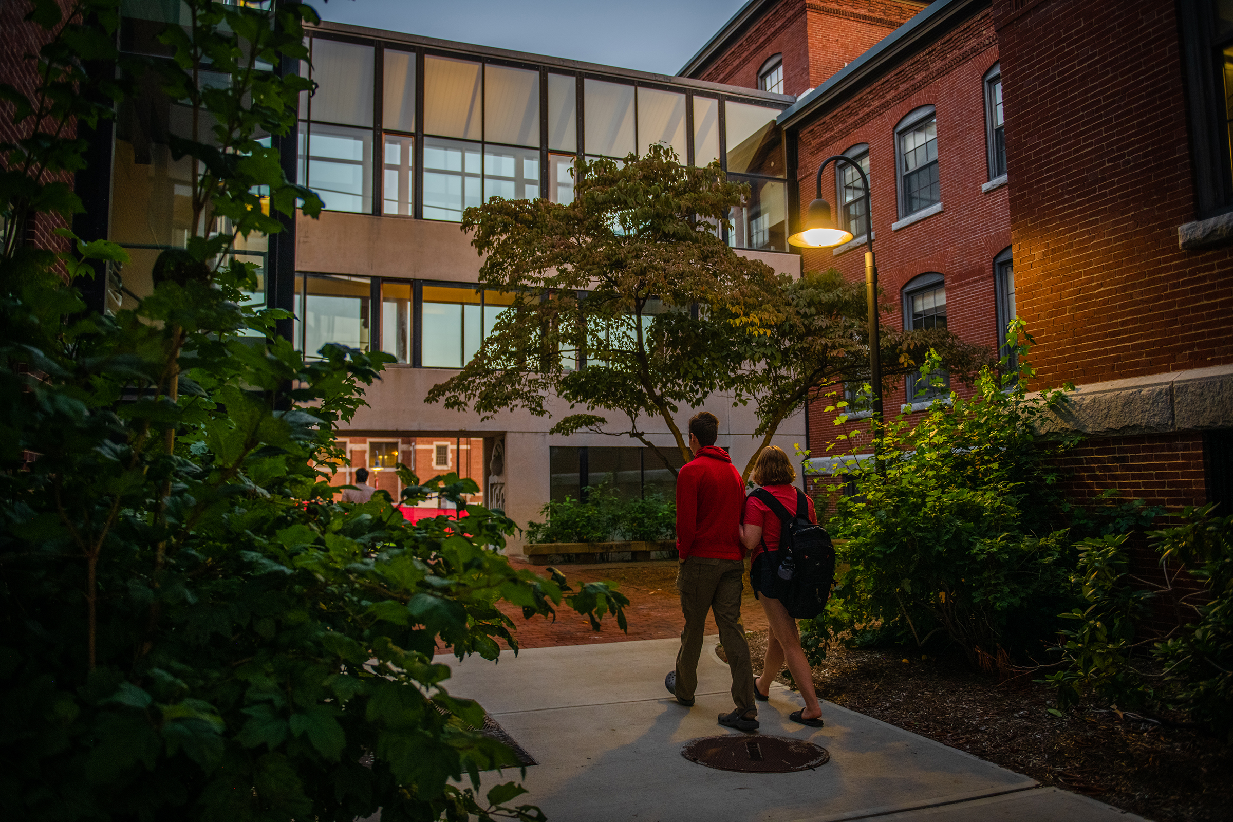 Math/Physics Building - trees