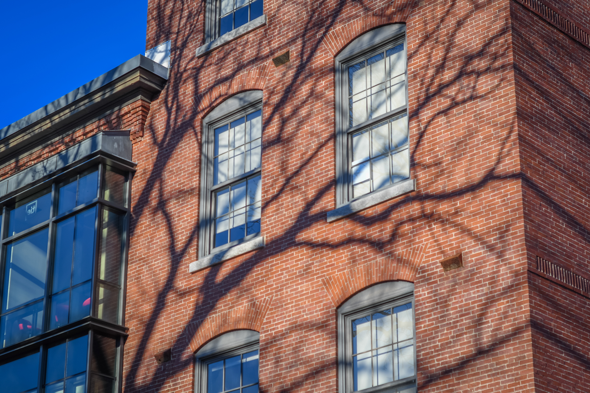 Math/Physics Building - windows