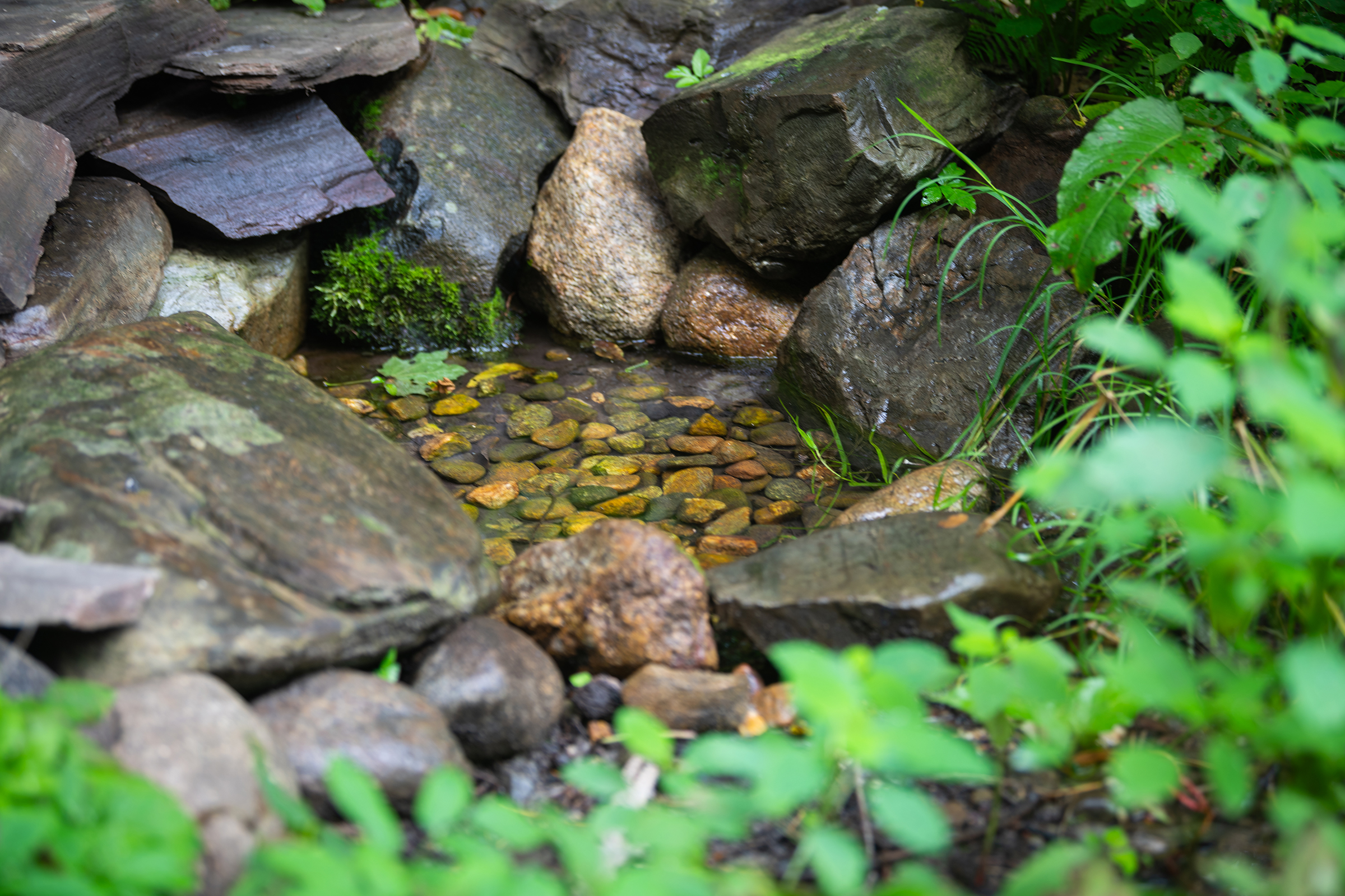 Hadwen Arboretum - rock well