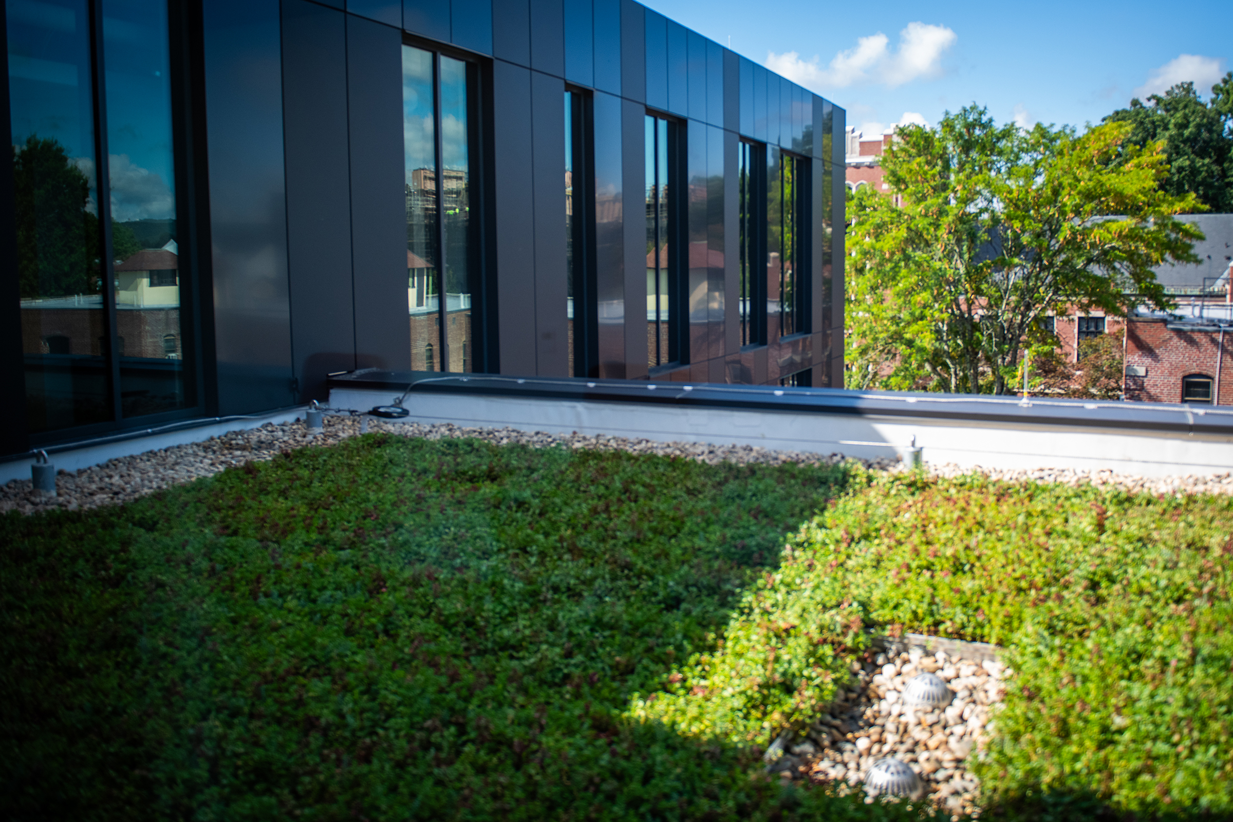 Center for Media Arts, Computing, and Design Building - roof top greens