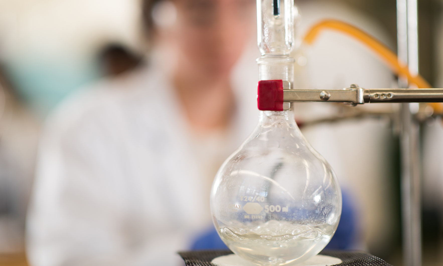 Students to showcase research, creative work during Winter Fest