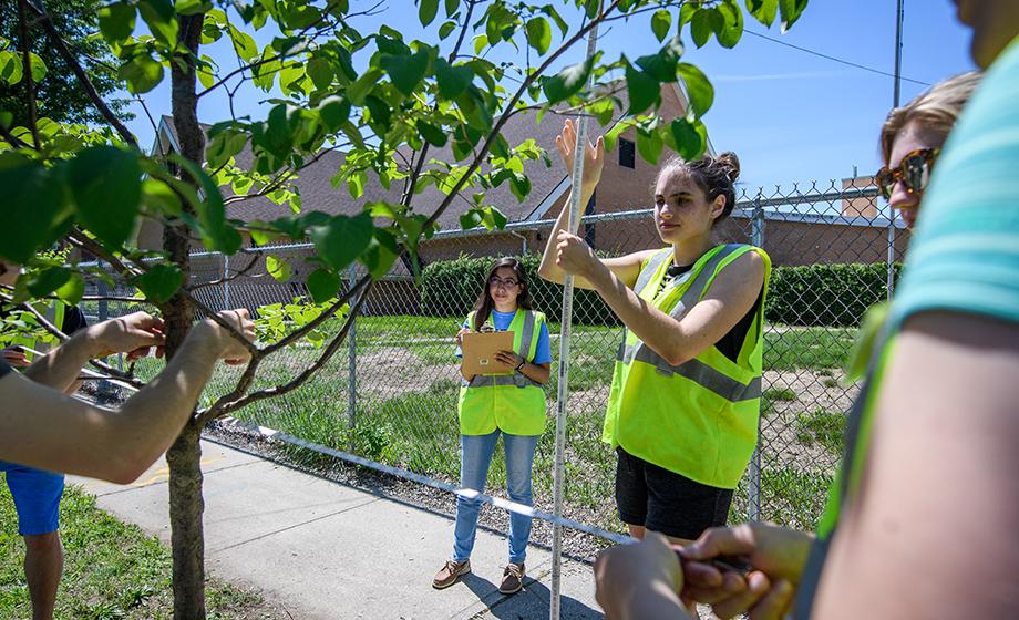 Clark HERO Fellows work to green Massachusetts’ Gateway Cities