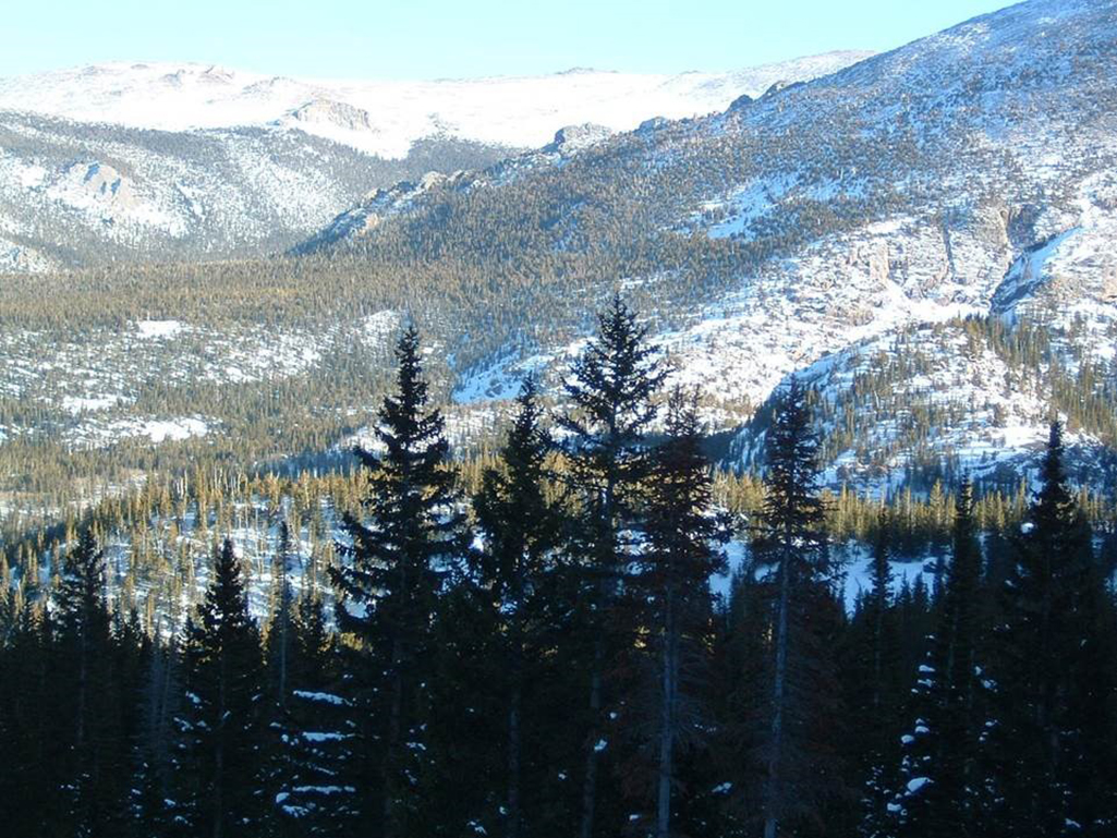 Clark geographer Christopher Williams: More trees do not always create a cooler planet