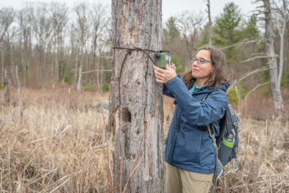 Florencia Sangermano puts audio recorder on tree