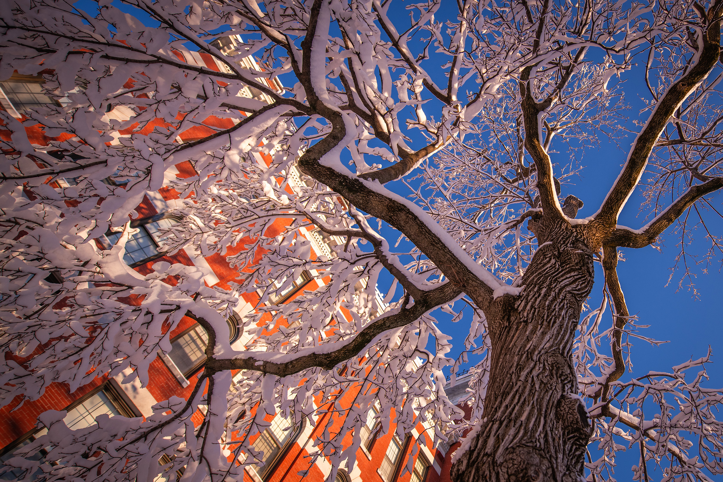 The first snow of 2024