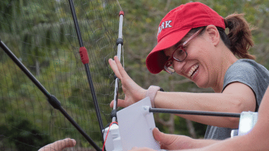 Professor Florencia Sangermano in Brazil