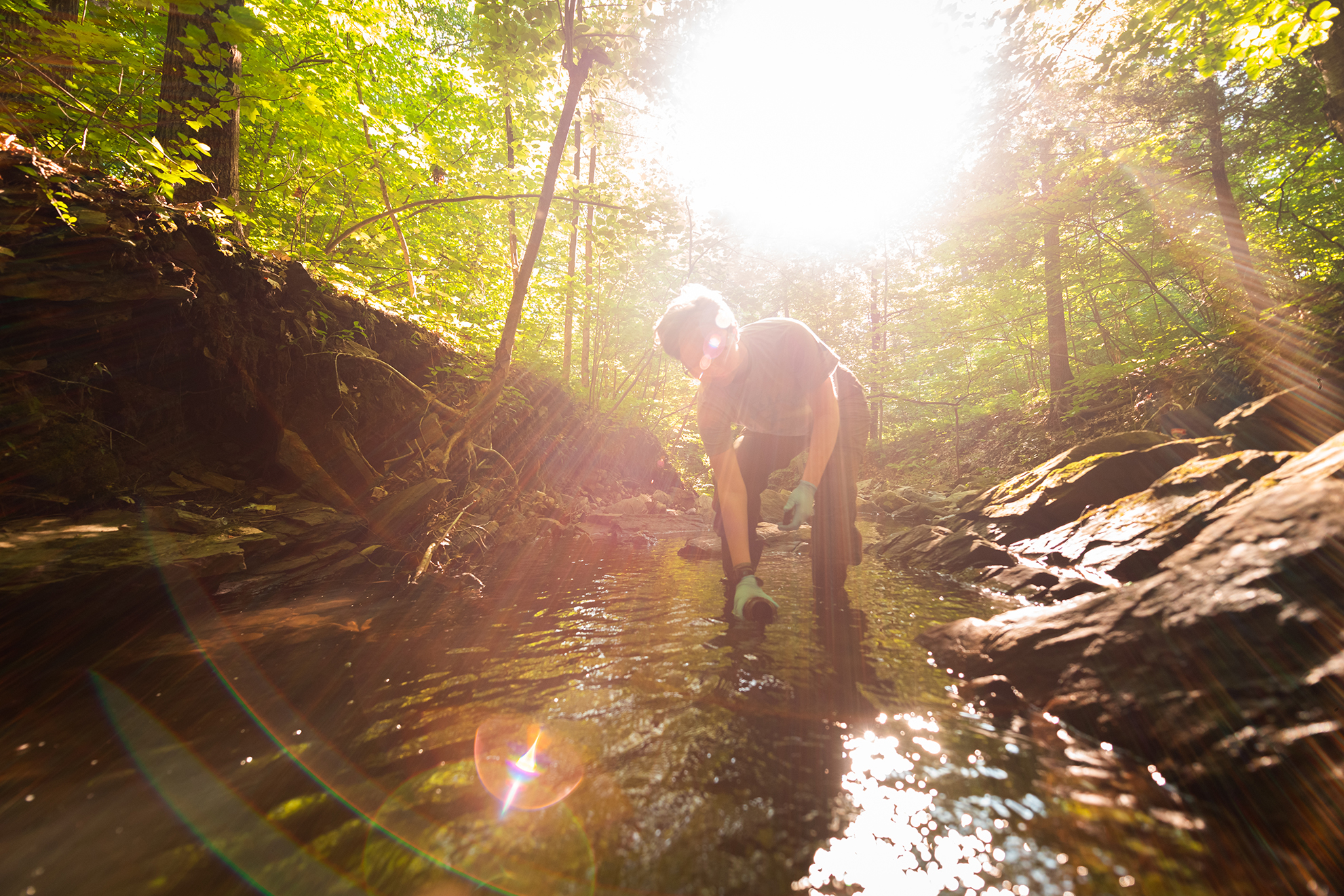 $10M gift advances School of Climate, Environment, and Society