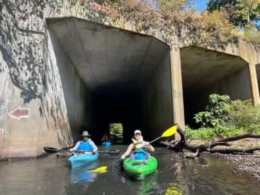 kayakers paddle under bridge