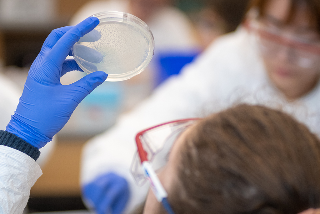 Innovation in Action speaker will discuss life sciences opportunities, education in Massachusetts
